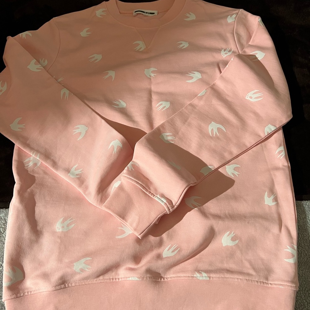 Alexander McQueen Sweatshirt